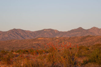 The Rosemont Copper Company operates in the Santa Rita mountains, located in southeast Arizona. Credit: Esther Frances/Inside Climate News