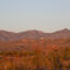 The Rosemont Copper Company operates in the Santa Rita mountains, located in southeast Arizona. Credit: Esther Frances/Inside Climate News