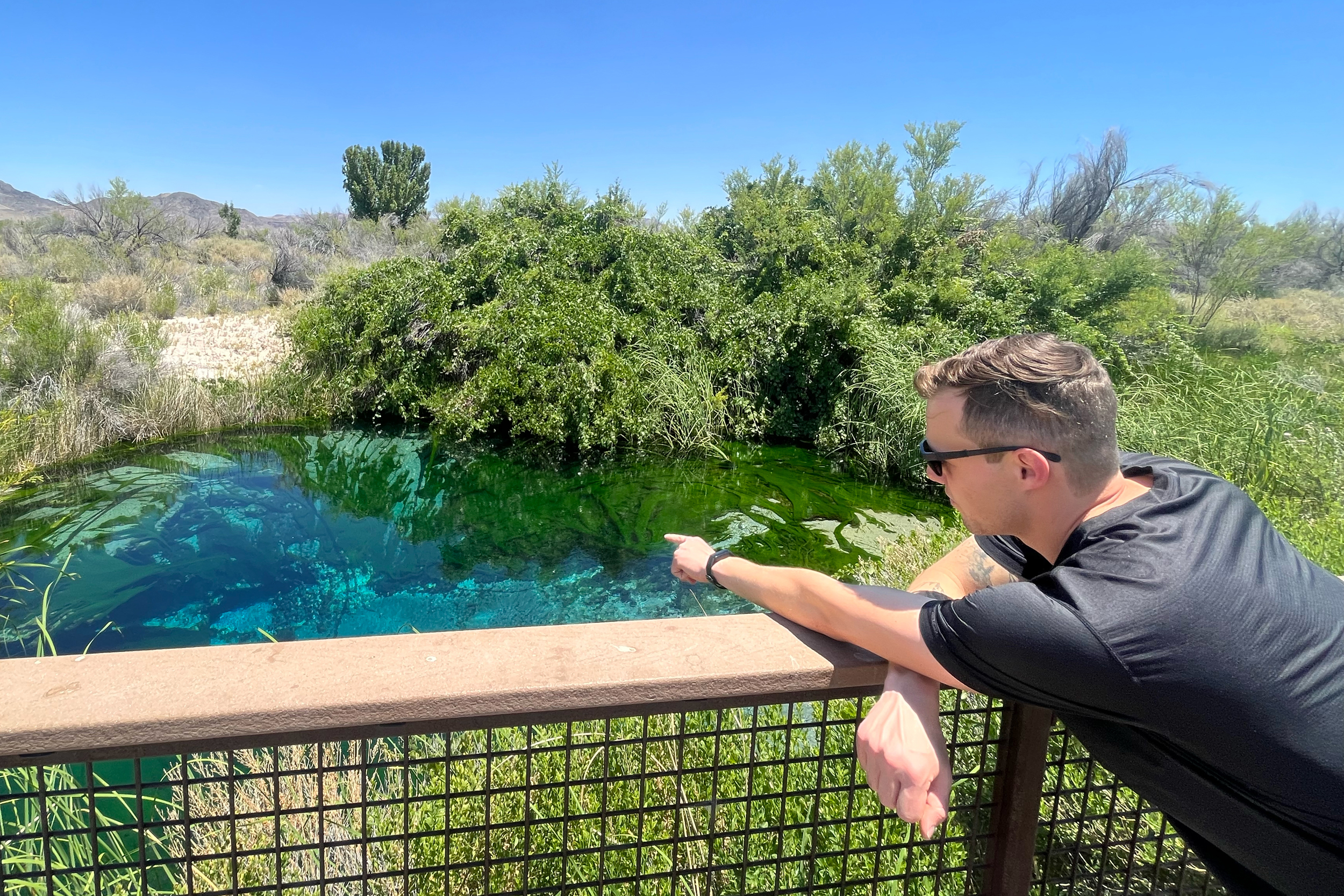 Mason Voehl, the executive director of the Amargosa Conservancy, points to where the groundwater seeps through to make the Crystal Reservoir at Ash Meadows National Wildlife Refuge. Credit: Wyatt Myskow/Inside Climate News