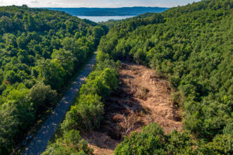A recent development on newly-bought Marshall County land scars the lush green landscape near Lake Guntersville in Alabama. Credit: Lee Hedgepeth/Inside Climate News