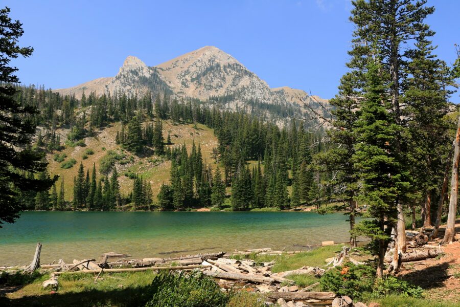 Custer Gallatin National Forest includes hundreds of glaciers as well as pine savannas. The Forest Service plans logging about 90 miles south of Fairy Lake in the Bridger Mountains, pictured. Credit: Don and Melinda Crawford/UCG/Universal Images Group via Getty Images