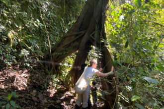 Natalia Greene, an Ecuadorian environmentalist and judge with the International Rights of Nature Tribunal, walks through the Chocó Andino cloud forest with her family in Mindo, Ecuador. Credit: Katie Surma