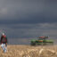 John Duffy walks across a field he is planting in soybeans on April 23, 2020 near Dwight, Illinois. Credit: Scott Olson/Getty Images