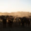 The Environmental Working Group published a new analysis on Wednesday outlining its efforts to push the USDA for more transparency, including asking for specific rationale in allowing brands to label beef as “climate friendly.” Credit: Carolyn Van Houten/The Washington Post via Getty Images