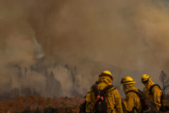 Smoke rises from the Oak Fire near Mariposa, Calif. on July 24, 2022. The wildfire burned through several thousand acres while Californians dealt with record-setting temperatures. Credit: David McNew/AFP via Getty Images