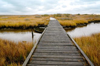 Bridges cross the marshes and streams of the Chesapeake Bay watershed on Tangier Island in Virginia. Credit: Katherine Frey/The Washington Post via Getty Images