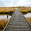 Bridges cross the marshes and streams of the Chesapeake Bay watershed on Tangier Island in Virginia. Credit: Katherine Frey/The Washington Post via Getty Images