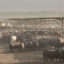 The Harris Cattle Ranch feedlot is the largest producer of beef in California. While the number of cattle drops around the country, the cattle in large dairies and feedlots continue to grow. Credit: George Rose/Getty Images