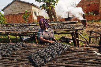 A worker lays out biochar to dry in the sun before it is packed and distributed in Lugazi, Uganda. Credit: Michele Sibiloni/AFP via Getty Images