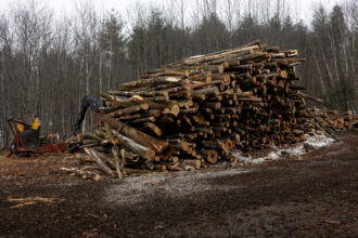 Logging of a patch of the White Mountain National Forest in New Hampshire on Dec. 17. Credit: Andrew Lichtenstein/Corbis via Getty Images