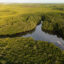 An aerial view of a mangrove forest near the Saloum Delta in Senegal. Credit: Cem Ozdel/Anadolu via Getty Images