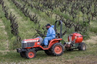 A worker sprays weed killer around the edges of a vineyard near Healdsburg, Calif. Credit: George Rose/Getty Images