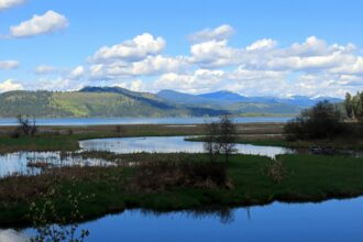 The Plummer wetlands, with Lake Chatcolet in the background in northern Idaho at Heyburn State Park. The Supreme Court decision on Thursday centered on a property dispute involving wetlands near Priest Lake in Idaho. Credit: Education Images/Universal Images Group via Getty Images.