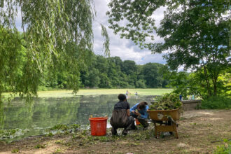 Van Cortlandt Park Alliance employees and volunteers work to remove water chestnuts from the Bronx park during “water chestnut Wednesday.” Credit: Lauren Dalban/Inside Climate News