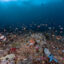 A vibrant reef seascape is seen in Indonesia's Lombok Strait, a marine protected area. Credit: Bing Lin/Inside Climate News