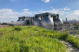 The treatment plant's 'digester eggs' loom large over the main garden at the Kingsland Wildflowers Green Roof in Brooklyn. Credit: Lauren Dalban/Inside Climate News