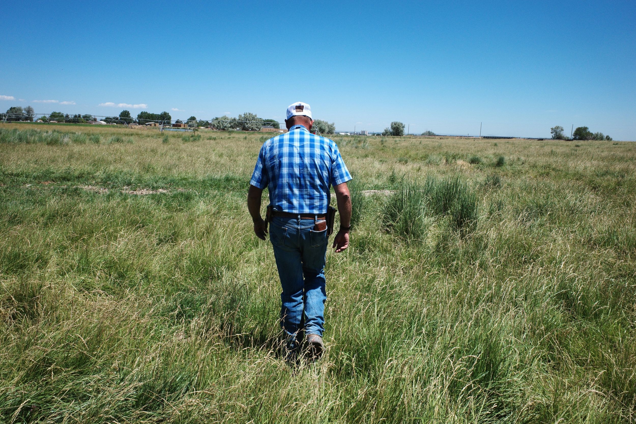 Casey Williams walks through a field irrigated with water from the Twin Falls Canal Company on June 27. Credit: Daniel Rothberg/Inside Climate News