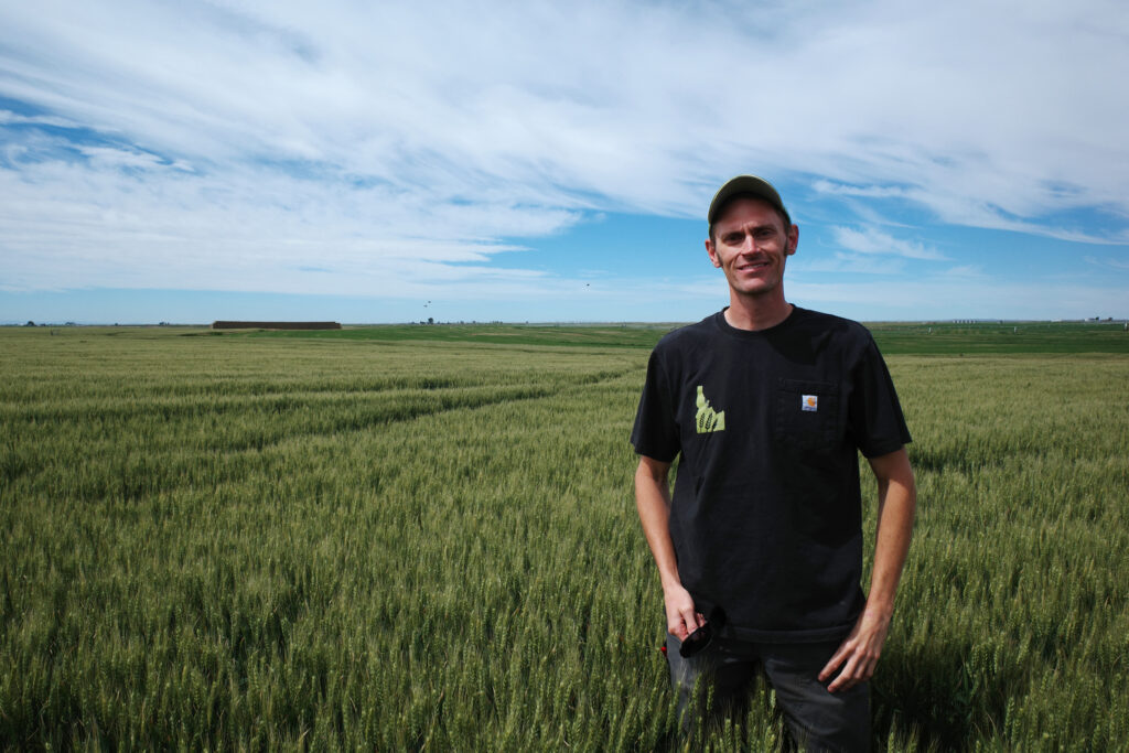 Adam Young, a third-generation farmer who grows wheat, barley and alfalfa, relies on groundwater pumping to irrigate his crops. Credit: Daniel Rothberg/Inside Climate News